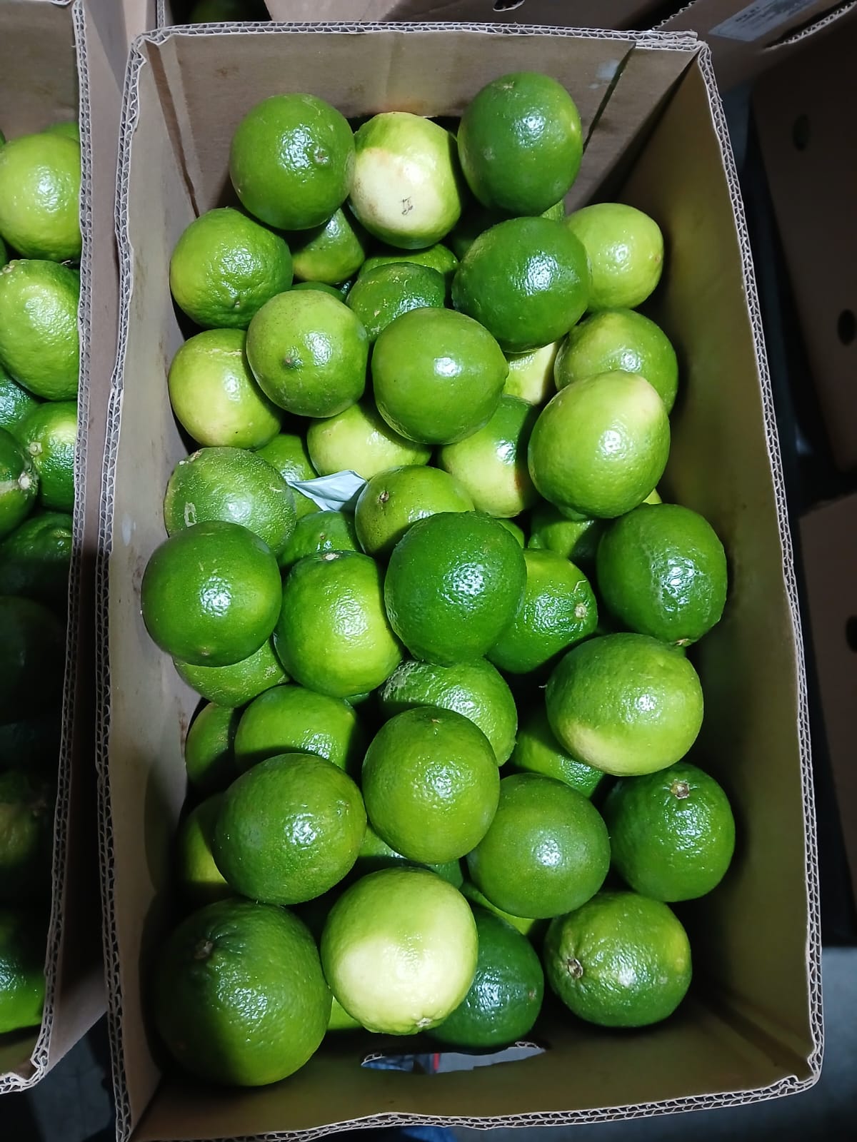 Limon Tahiti