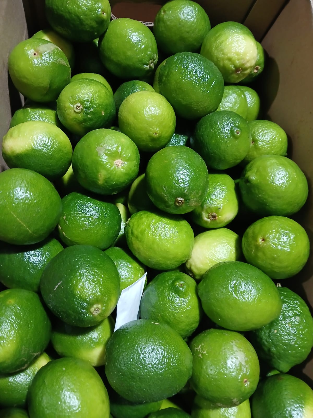 Limon Tahiti