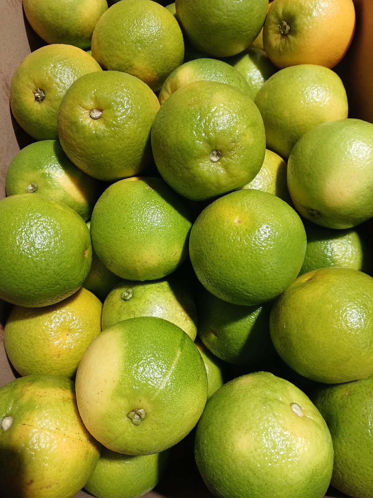 Naranjas