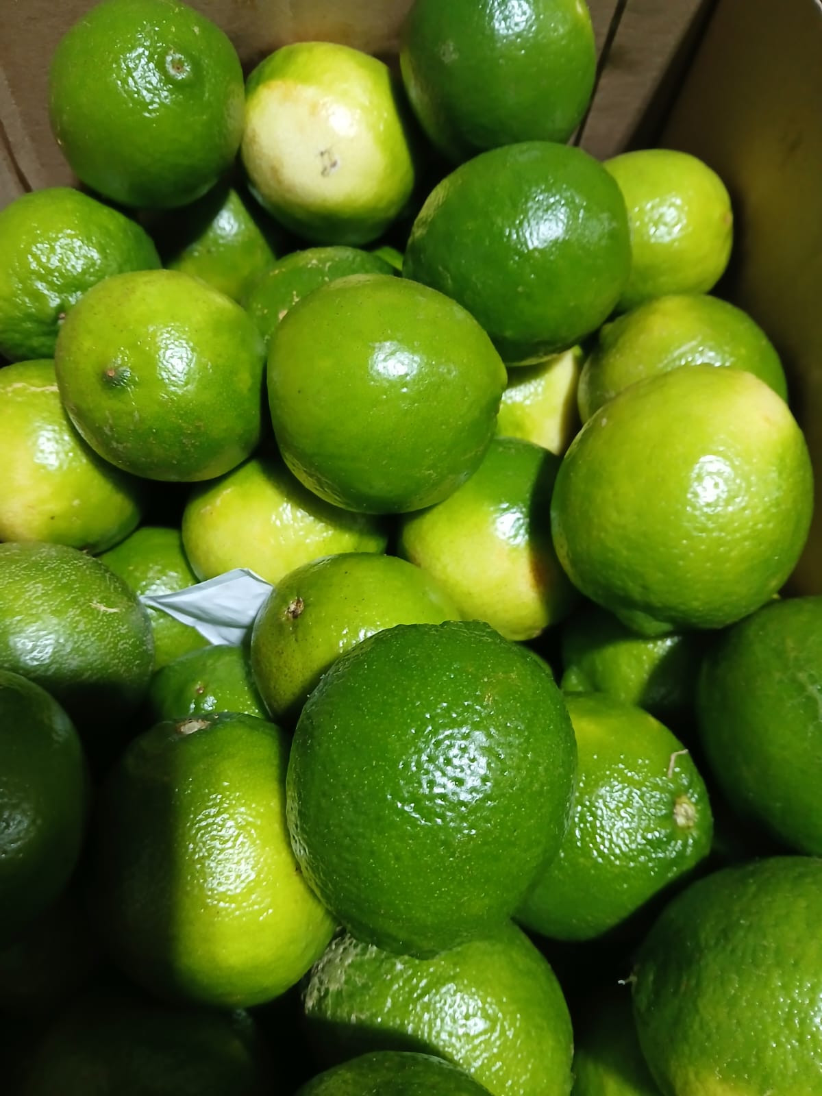 Limón Tahiti