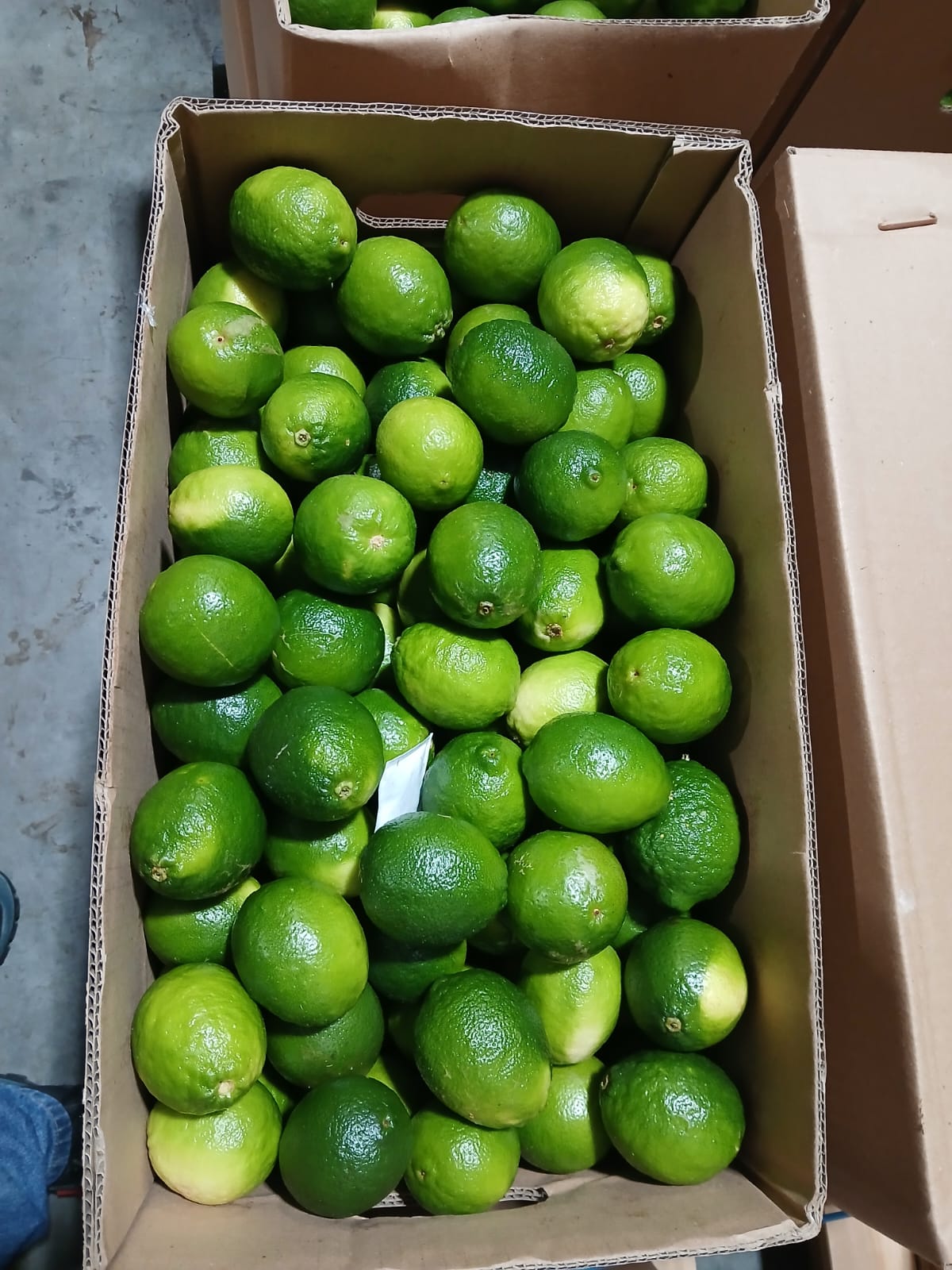 Limon Tahiti
