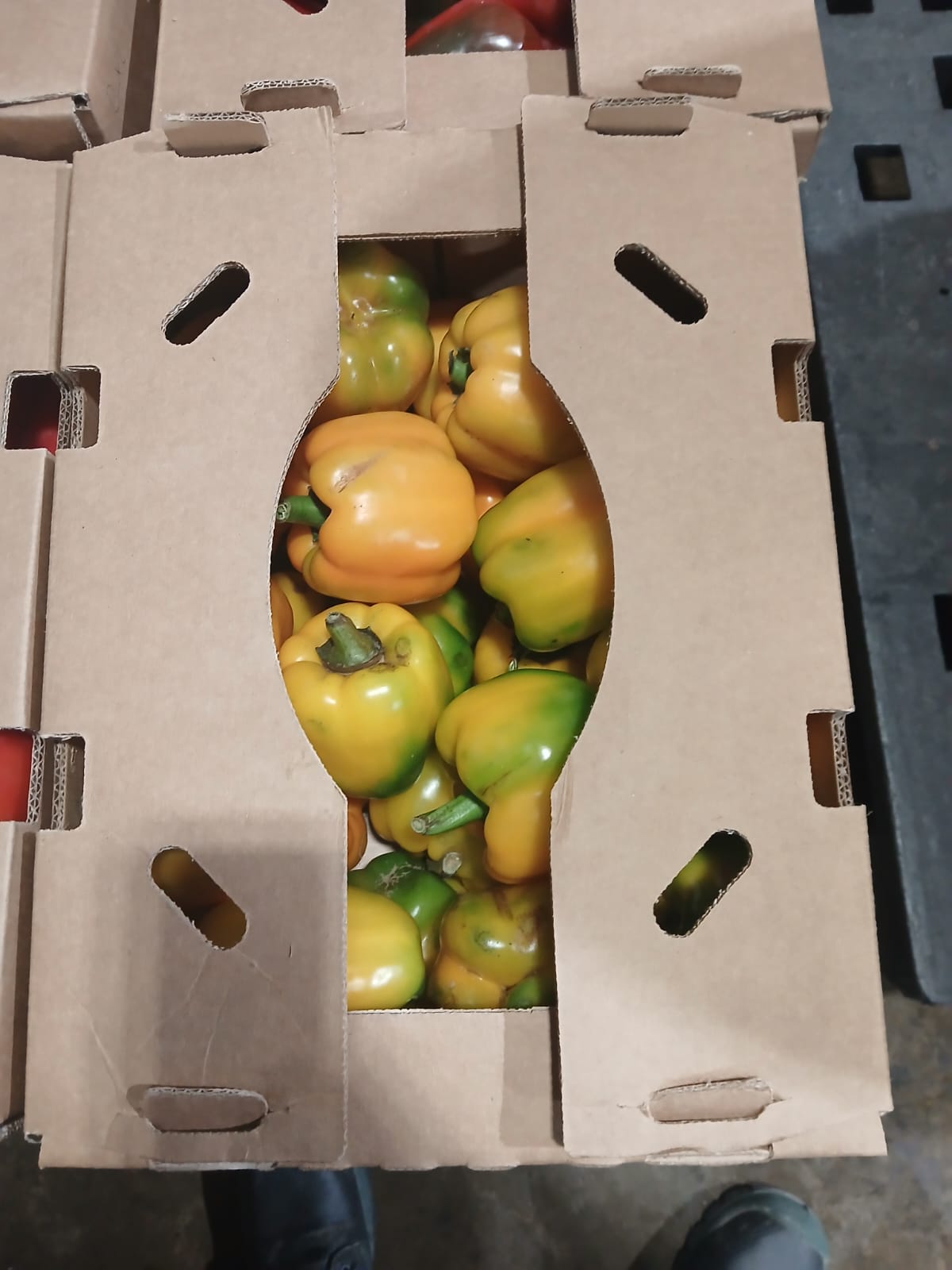 Pimenton verde-amarillo