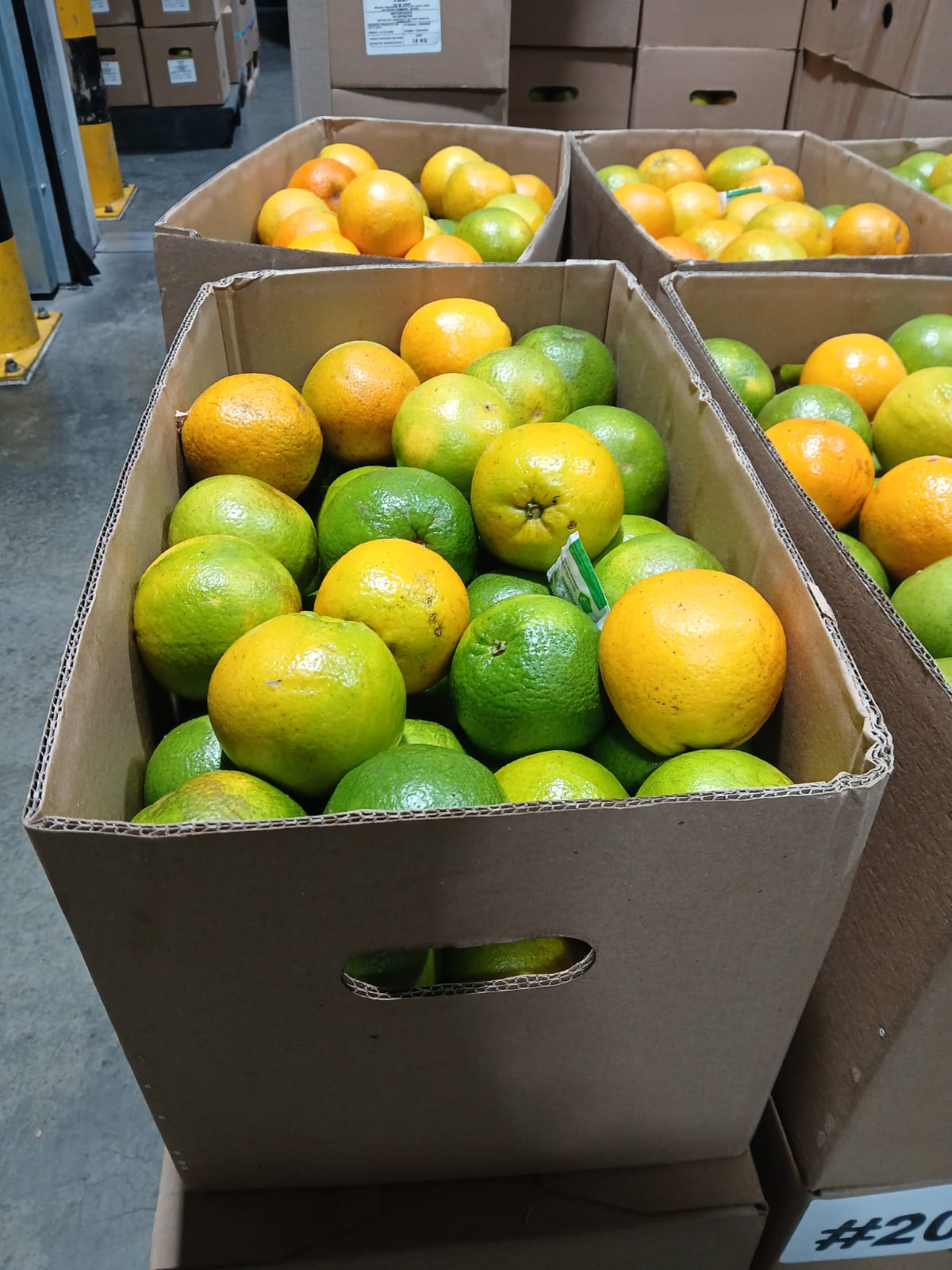 Naranjas